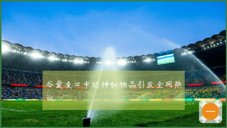 谷爱凌口中的神秘物品引发全网热议